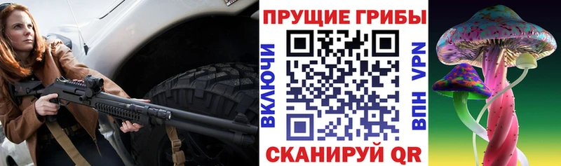 OMG рабочий сайт  Таганрог  Галлюциногенные грибы Psilocybe 